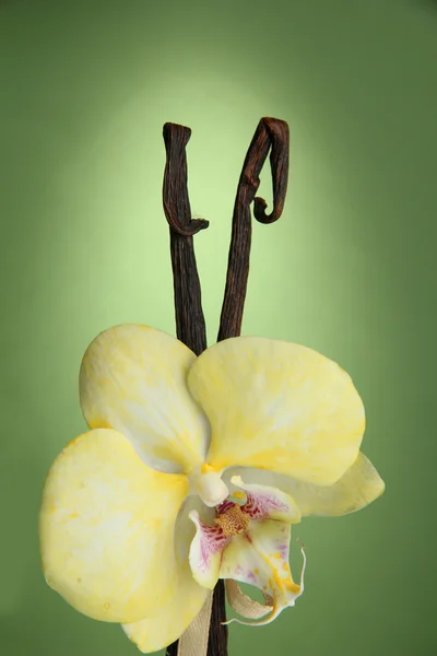 Vanilla pods with flower, on green background — Stock Photo, Image