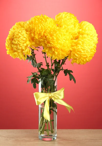 Jasne żółte chryzantemy w szklanym wazonie, na czerwonym tle — Zdjęcie stockowe