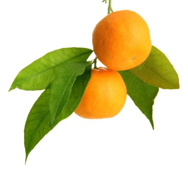 Olgun tatlı mandalina yapraklarla üzerine beyaz izole