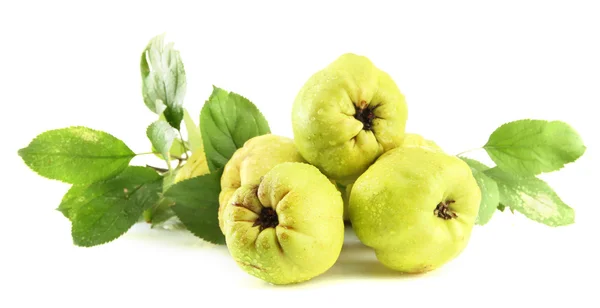 Sweet quinces with leaves, isolated on white — Stock Photo, Image