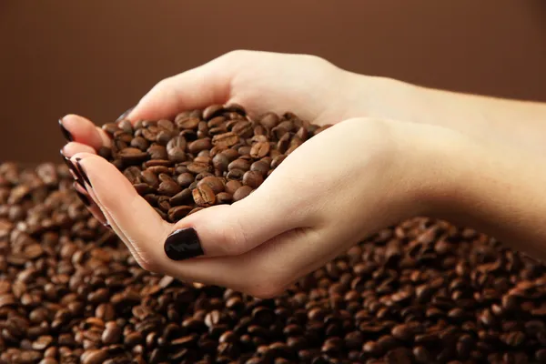 Manos femeninas con granos de café, sobre fondo marrón —  Fotos de Stock