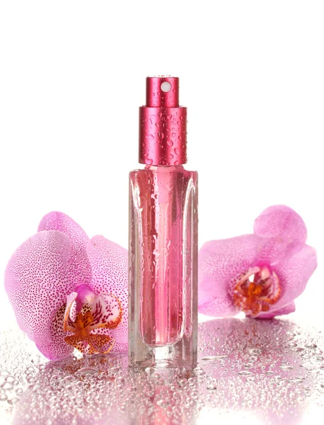 Perfume de mujer en hermosa botella y flores de orquídea, aislado en blanco — Foto de Stock