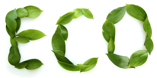 inscription ECO of beautiful green leaves, isolated on white
