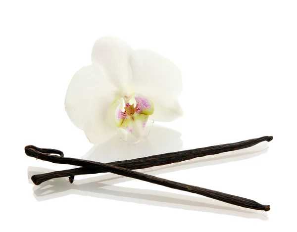 Vanilla pods with flower isolated on white — Stock Photo, Image