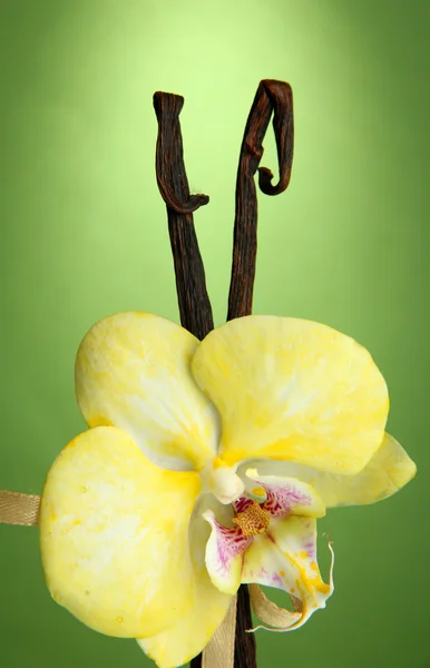 Vanilla pods with flower, on green background — Stock Photo, Image