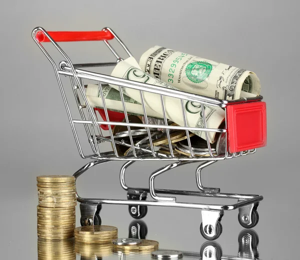 Money in cart on grey background — Stock Photo, Image