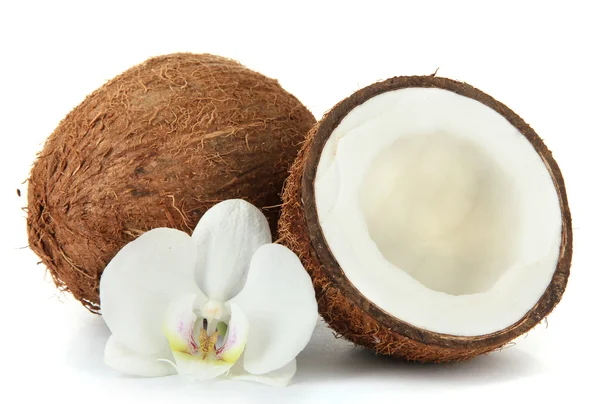 Kokosnötter med blomma, isolerad på vit — Stockfoto