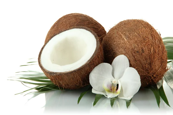 Noci di cocco con foglie e fiori, isolate su bianco — Foto Stock