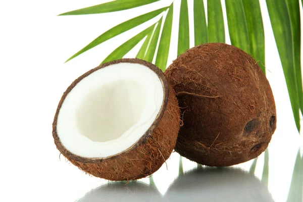 Coconuts with leaves and flower, isolated on white — Stock Photo, Image