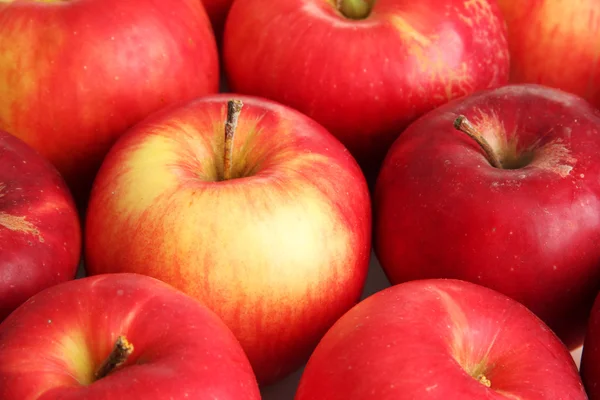Saftiga röda äpplen, närbild — Stockfoto