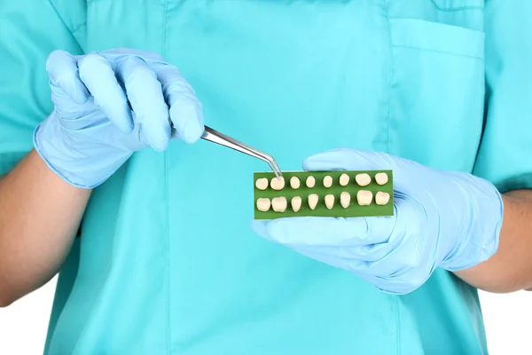 Dentists hands with denture and dental tweezers — Stock Photo, Image