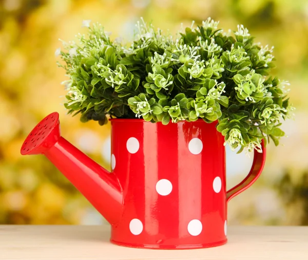 Decorative flowers in watering can on bright background — Stock Photo, Image