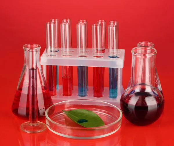 Test-tubes and green leaf tested in petri dish, on color background — Stock Photo, Image