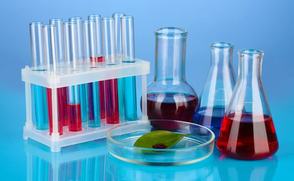 Δοκιμαστικοί σωλήνες και πράσινο φύλλο δοκιμαστεί σε τρυβλίο Petri, σε φόντο χρώμα — Φωτογραφία Αρχείου