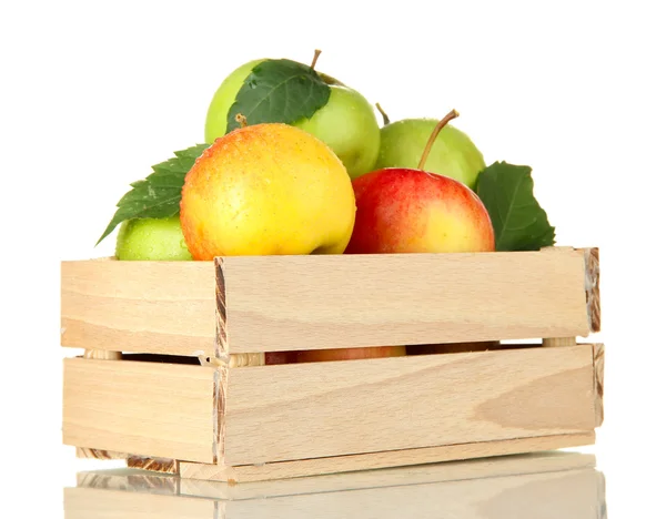Sweet apples in wooden crate, isolated on white Royalty Free Stock Photos