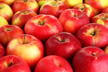 Sulu Kırmızı elma, yakın çekim