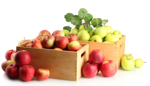 Juicy apples with green leaves in wooden crates, isolated on white — Stock Photo, Image