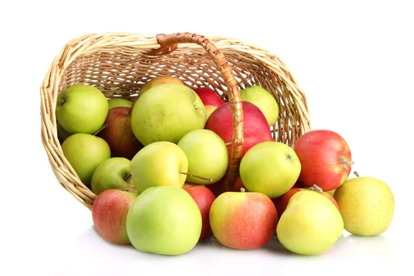 Juicy apples in basket, isolated on white — Stock Photo, Image