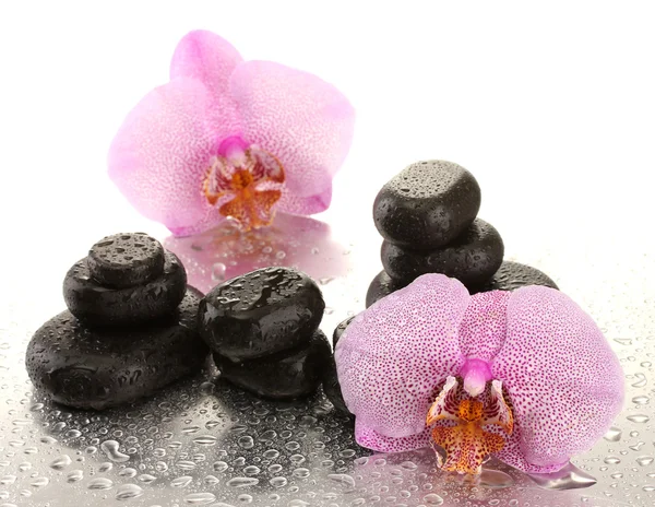 Spa stenen en orchideebloemen, op natte achtergrond — Stockfoto