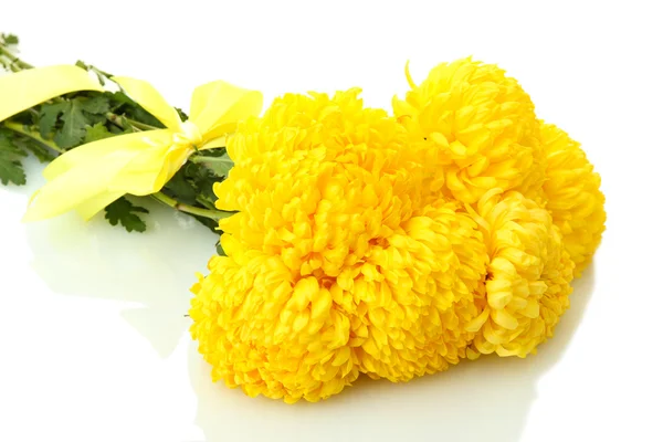 Leuchtend gelbe Chrysanthemen, isoliert auf weiß — Stockfoto