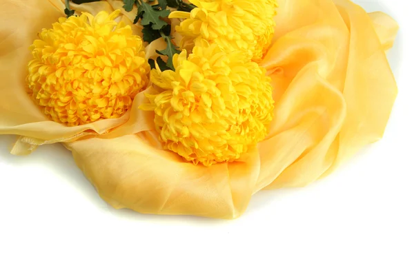 Bouquet of bright yellow chrysanthemums flowers on cloth, isolated on white — Stock Photo, Image