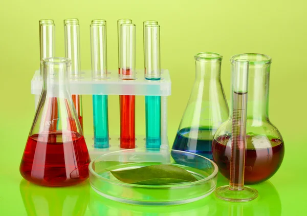 Test-tubes and green leaf tested in petri dish, on color background — Stock Photo, Image