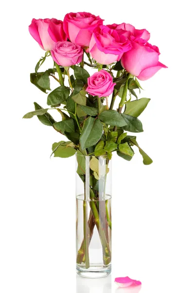 Rosas cor-de-rosa bonitas em vaso isolado em branco — Fotografia de Stock