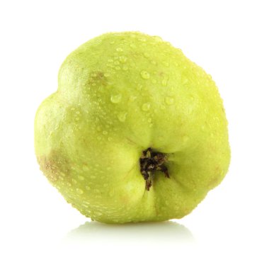 tatlı Ayva, üzerinde beyaz izole