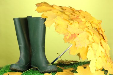 akçaağaç şemsiye ile gumboots yeşil çimenlerin üzerinde bırakır