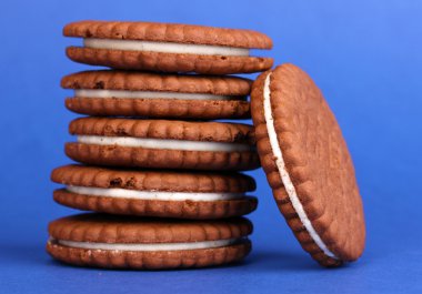 kremsi katman üzerinde mavi arka plan ile çikolatalı kurabiye