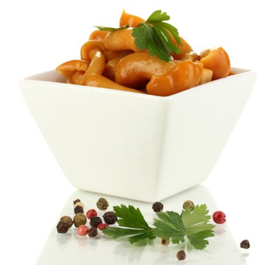 Lezzetli marine edilmiş mantarlar beyaz kasede izole edilmiş.