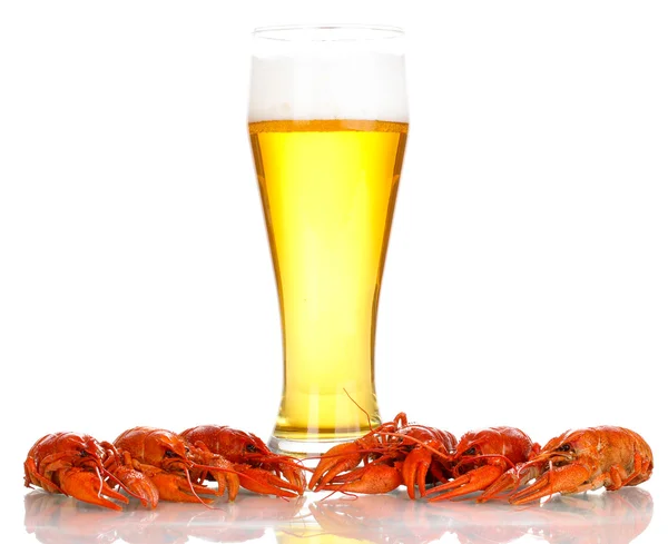 Tasty boiled crayfishes and beer isolated on white — Stock Photo, Image