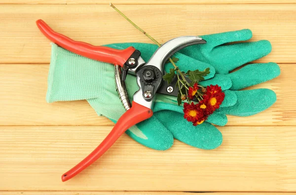 Zahradnické nůžky s květem na dřevěné pozadí — Stock fotografie