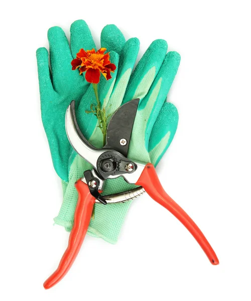 Secateurs with flower isolated on white — Stock Photo, Image