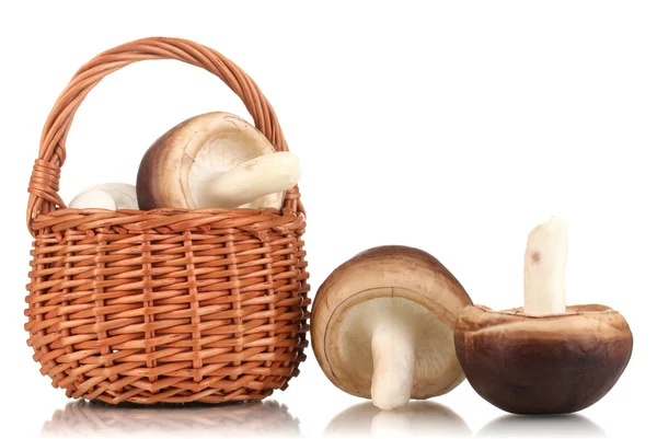 Champignons frais dans le panier isolé sur blanc — Photo