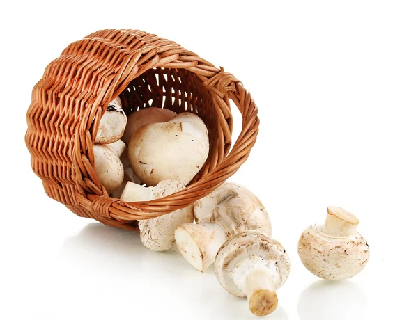 Verse champignons in mand geïsoleerd op wit — Stockfoto