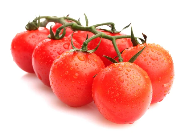 Tomates de cereja em um ramo com baixas isoladas no branco — Fotografia de Stock