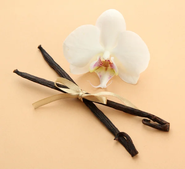 Vainas de vainilla con flor, sobre fondo beige —  Fotos de Stock