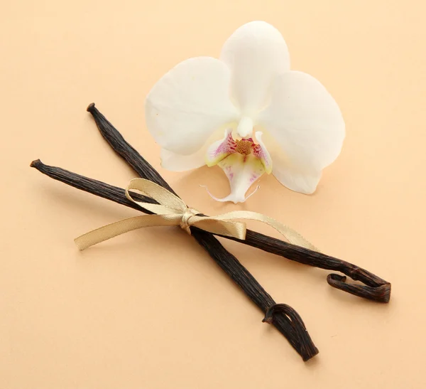 Vanilla pods with flower, on beige background