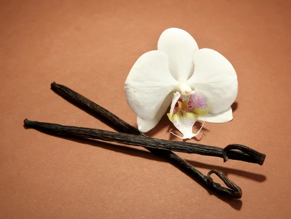 Vainas de vainilla con flor, sobre fondo marrón — Foto de Stock