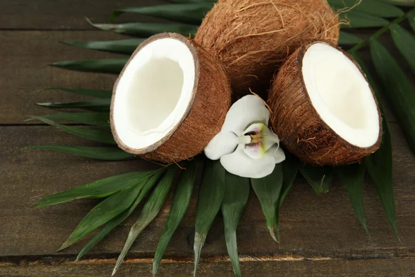 Coconuts with leaves and flower, on grey wooden background — Stock Photo, Image