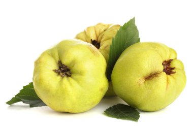 Yapraklı tatlı ayva, bembeyaz.