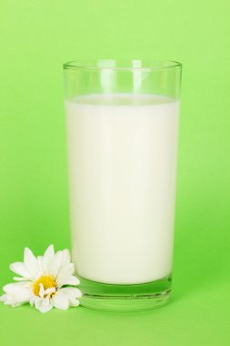 yeşil zemin üzerine beyaz çiçek ile yeni taze süt