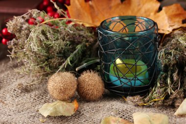 mum ve yaprakları sonbahar kompozisyonu