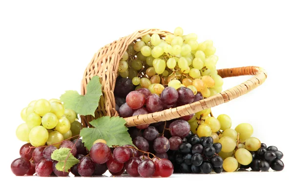 Assortment of ripe sweet grapes in basket, isolated on white — Stock Photo, Image