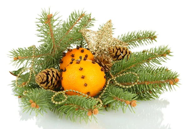 Kerstmis samenstelling met sinaasappels en fir tree, geïsoleerd op wit — Stockfoto