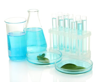 test-tubes and leaves tested in petri dishes isolated on white clipart