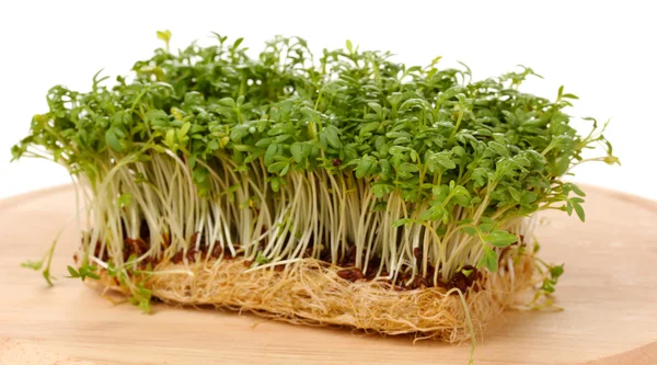 Fresh cress salad on wooden board isolated on white — Stock Photo, Image