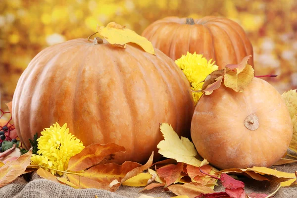 Pompoenen en herfst bladeren, op gele achtergrond — Stockfoto