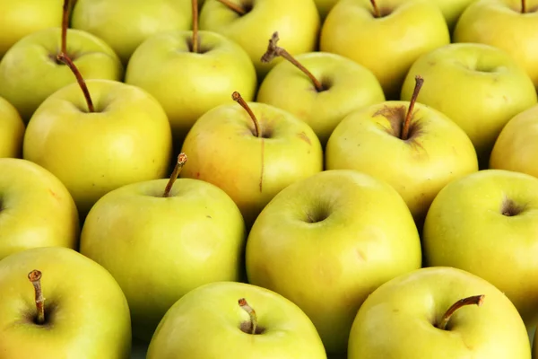 Manzanas jugosas, primer plano —  Fotos de Stock